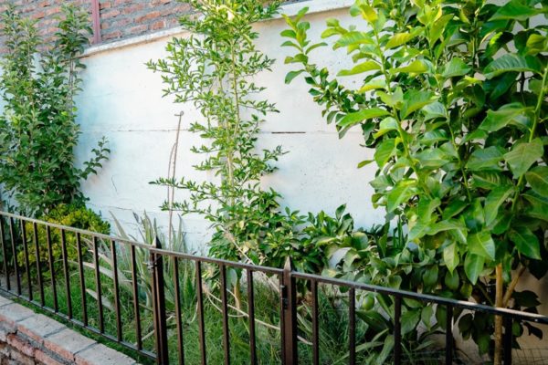 Venta - Casa En Maipú - Imagen 18